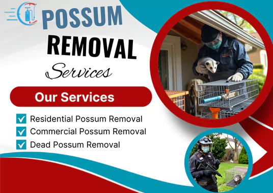 Possum Removal Werribee